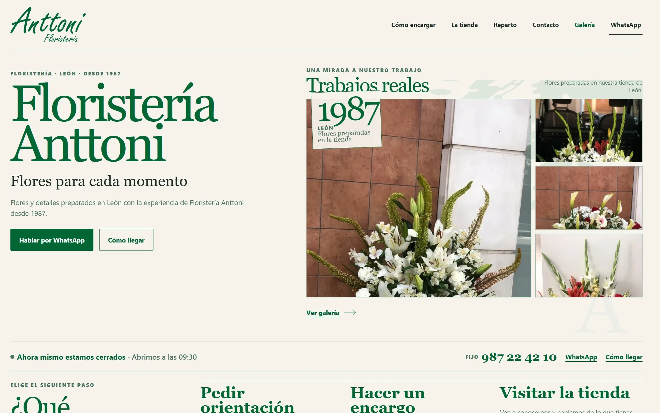 Portada Flores Anttoni